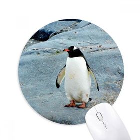 Dıythinker Antarktik Taş Okyanus Pengueni Doğa Bilimi Baskılı Yuvarlak Kaymaz Kauçuk Mouse Pad