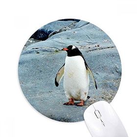 Dıythinker Antarktik Taş Okyanus Pengueni Doğa Bilimi Baskılı Yuvarlak Kaymaz Kauçuk Mouse Pad
