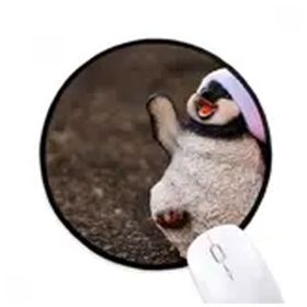 Dıythinker Antarktika Penguen Noel Şapkası Doğa Yuvarlak Kaymaz Mouse Pad