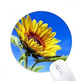 Dıythinker Ayçiçeği Mavi Gökyüzü Güneş Işığı Çiçek Baskılı Yuvarlak Kaymaz Kauçuk Mouse Pad