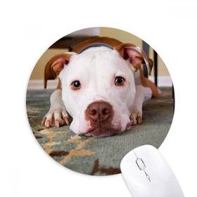 Dıythinker Beyaz Bulldog Evcil Hayvan Resmi Baskılı Yuvarlak Kaymaz Kauçuk Mouse Pad