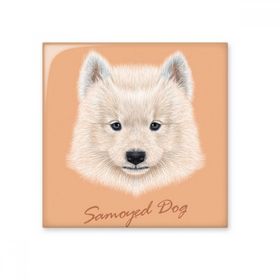 Dıythinker Beyaz Samoyed Köpek Evcil Hayvan 20x20 cm Seramik Karo