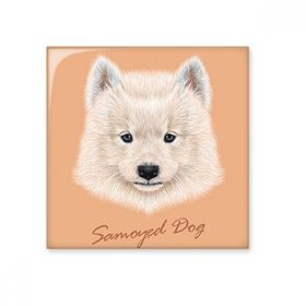 Dıythinker Beyaz Samoyed Köpek Evcil Hayvan 20x20 cm Seramik Karo