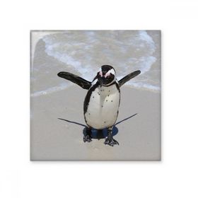 Dıythinker Bilim Doğa Okyanus Antarktik Penguen Oluklu 20x20 cm Seramik Karo