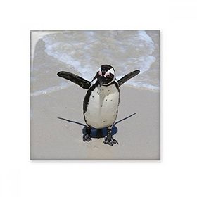 Dıythinker Bilim Doğa Okyanus Antarktik Penguen Oluklu 20x20 cm Seramik Karo