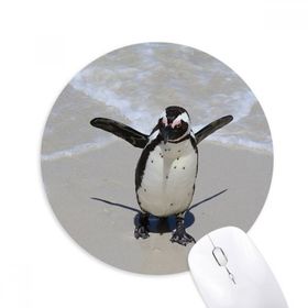 Dıythinker Bilim Doğa Okyanus Antarktik Penguen Yaratık Baskılı Yuvarlak Kaymaz Kauçuk Mouse Pad