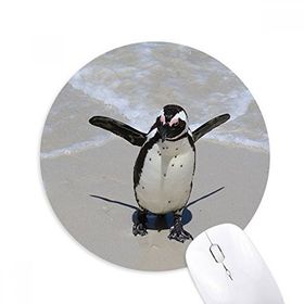 Dıythinker Bilim Doğa Okyanus Antarktik Penguen Yaratık Baskılı Yuvarlak Kaymaz Kauçuk Mouse Pad