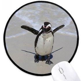 Dıythinker Bilim Doğa Okyanus Antarktika Penguen Yaratık Yuvarlak Kaymaz Mouse Pad