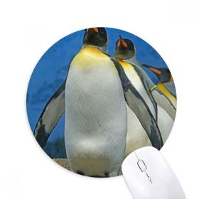 Dıythinker Birçok Antarktik Penguenler Doğa Bilimi Resim Baskılı Yuvarlak Kaymaz Kauçuk Mouse Pad