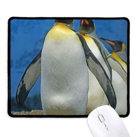 Dıythinker Birçok Antarktik Penguenler Doğa Bilimi Resim Kaymaz Siyah Başlıklı Kenarlar