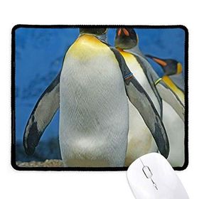 Dıythinker Birçok Antarktik Penguenler Doğa Bilimi Resim Kaymaz Siyah Başlıklı Kenarlar