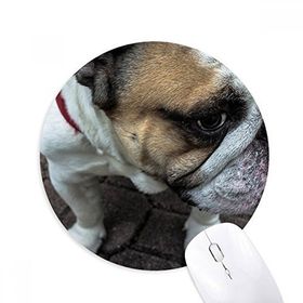 Dıythinker Bulldog Evcil Hayvan Fotoğrafçılık Resimler Baskılı Yuvarlak Kaymaz Kauçuk Mouse Pad