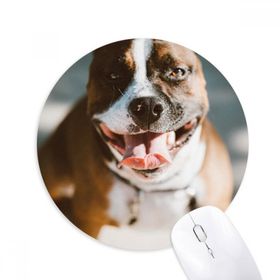 Dıythinker Bulldog Evcil Hayvan Korkunç Resim Baskılı Yuvarlak Kaymaz Kauçuk Mouse Pad