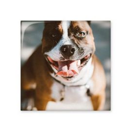 Dıythinker Bulldog Evcil Hayvan Korkunç Resim Parlak 10x10 cm Seramik Karo