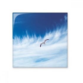 Dıythinker Bulutlar Kuş Mavi Gökyüzü 15x15 cm Seramik Karo