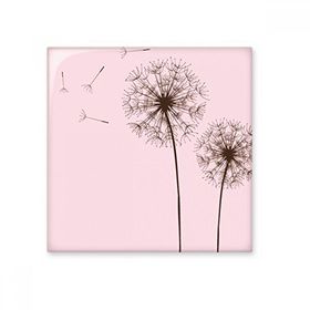 Dıythinker Çiçek Bitki Karahindiba Tohumu Parlak 10x10 cm Seramik Karo