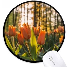 Dıythinker Çiçek Ormancılık Bilim Doğa Manzara Yuvarlak Kaymaz Mouse Pad