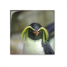 Dıythinker Deniz Bilimi Doğa Antarktik Penguen Resim 15x15 cm Seramik Karo