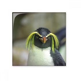 Dıythinker Deniz Bilimi Doğa Antarktik Penguen Resim 15x15 cm Seramik Karo