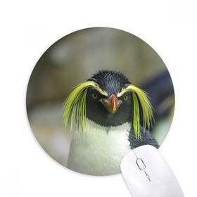Dıythinker Deniz Bilimi Doğa Antarktik Penguen Resim Baskılı Yuvarlak Kaymaz Kauçuk Mouse Pad