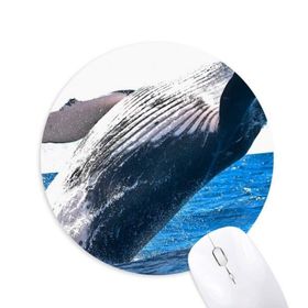 Dıythinker Deniz Organizması Balina Okyanus Hayvan Baskılı Yuvarlak Kaymaz Kauçuk Mouse Pad