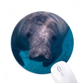 Dıythinker Deniz Organizması Fotoğrafçılık Hayvan Resmi Baskılı Yuvarlak Kaymaz Kauçuk Mouse Pad