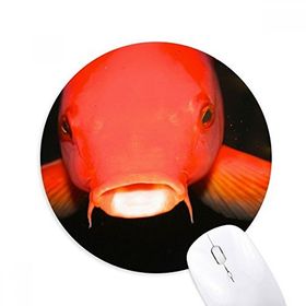 Dıythinker Deniz Organizması Kırmızı Balık Hayvan Baskılı Yuvarlak Kaymaz Kauçuk Mouse Pad