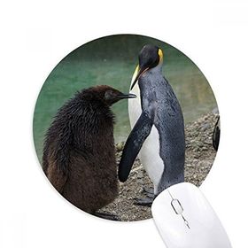 Dıythinker Deniz Soğuk Antarktik Penguen Bilim Doğa Resim Baskılı Yuvarlak Kaymaz Kauçuk Mouse Pad