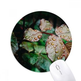 Dıythinker Dewdrop Yaprak Bitki Resmi Doğa Baskılı Yuvarlak Kaymaz Kauçuk Mouse Pad