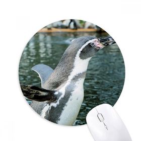 Dıythinker Doğa Antarktik Penguen Bilim Resmi Baskılı Yuvarlak Kaymaz Kauçuk Mouse Pad