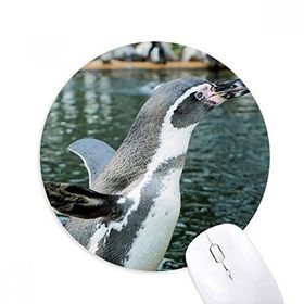 Dıythinker Doğa Antarktik Penguen Bilim Resmi Baskılı Yuvarlak Kaymaz Kauçuk Mouse Pad