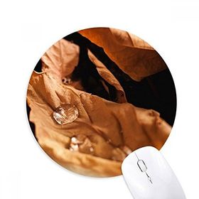 Dıythinker Düşen Yapraklar Bitki Doğa Fotoğrafçılığı Baskılı Yuvarlak Kaymaz Kauçuk Mouse Pad