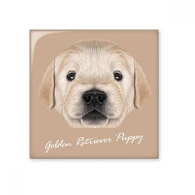 Dıythinker Eğitimli Golden Retriever Yavru Köpek Hayvan Seramik Biske Fayans 20x20 cm Seramik Karo