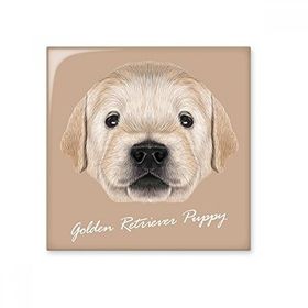 Dıythinker Eğitimli Golden Retriever Yavru Köpek Hayvan Seramik Biske Fayans 20x20 cm Seramik Karo