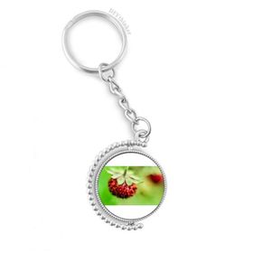 Diythinker Erkek Fresh Berry Resim Doğa Fotoğrafı Döndürülebilir Çok Renkli 3x9 cm Anahtarlık