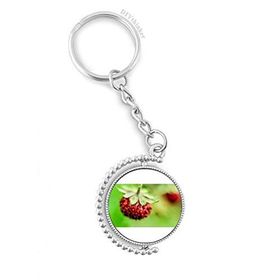 Diythinker Erkek Fresh Berry Resim Doğa Fotoğrafı Döndürülebilir Çok Renkli 3x9 cm Anahtarlık