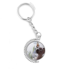 Diythinker Erkek Hayvan Gri İnce Kedi Fotoğrafı Döndürülebilir Çok Renkli 3x9 cm Anahtarlık