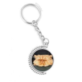 Diythinker Erkek Hayvan Komik Sarı Kedi Çekimi Döndürülebilir Çok Renkli 3x9 cm Anahtarlık