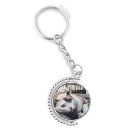 Diythinker Erkek Hayvan Renkli Kedi Fotoğrafı Resim Döndürülebilir Çok Renkli 3x9 cm Anahtarlık