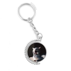 Diythinker Erkek Hayvan Yawn Kedi Fotoğraf Çekimi Döndürülebilir Çok Renkli 3x9 cm Anahtarlık
