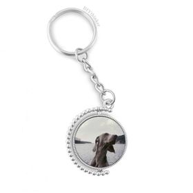 Diythinker Erkek Köpek Evcil Hayvan Gri Resim Döndürülebilir Çok Renkli 3x9 cm Anahtarlık