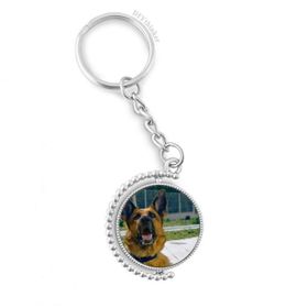 Diythinker Erkek Yakışıklı Köpek Evcil Hayvan Fotoğrafçılığı Resim Döndürülebilir Çok Renkli 3x9 cm Anahtarlık