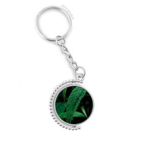 Diythinker Erkek Yaprak Bitki Doğa Fotoğrafçılığı Döndürülebilir Çok Renkli 3x9 cm Anahtarlık