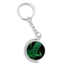 Diythinker Erkek Yaprak Bitki Doğa Fotoğrafçılığı Döndürülebilir Çok Renkli 3x9 cm Anahtarlık