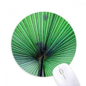 Dıythinker Fotoğraf Taze Yaprak Resim Doğa Baskılı Yuvarlak Kaymaz Kauçuk Mouse Pad