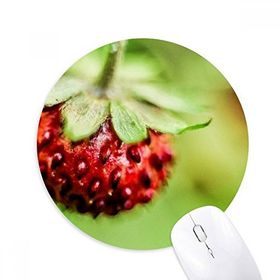 Dıythinker Fresh Berry Resim Doğa Fotoğraf Baskılı Yuvarlak Kaymaz Kauçuk Mouse Pad