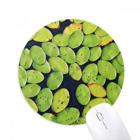 Dıythinker Fresh Leaf Plant Water Nature Baskılı Yuvarlak Kaymaz Kauçuk Mouse Pad