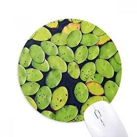 Dıythinker Fresh Leaf Plant Water Nature Baskılı Yuvarlak Kaymaz Kauçuk Mouse Pad
