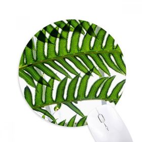 Dıythinker Fresh Leaves Bitki Resmi Doğa Baskılı Yuvarlak Kaymaz Kauçuk Mouse Pad