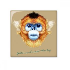 Dıythinker Golden Snub Burunlu Maymun Hayvan Seramik Biske Fayans 20x20 cm Seramik Karo